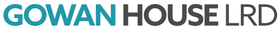 website logo